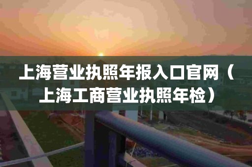 上海营业执照年报入口官网（上海工商营业执照年检）