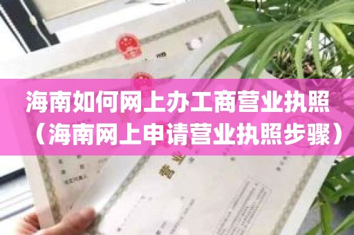 海南如何网上办工商营业执照（海南网上申请营业执照步骤）