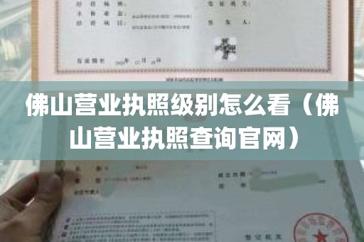 佛山营业执照级别怎么看（佛山营业执照查询官网）