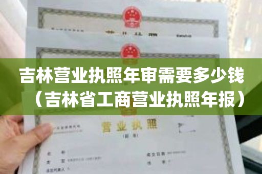 吉林营业执照年审需要多少钱（吉林省工商营业执照年报）