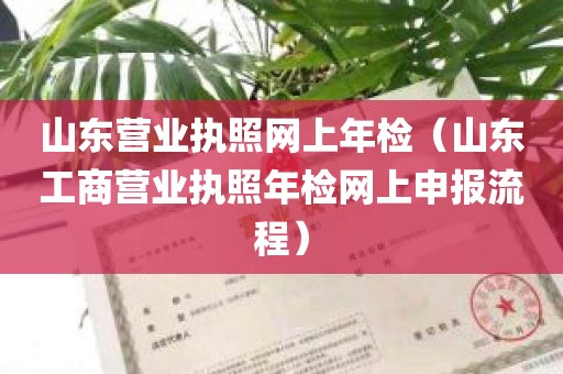 山东营业执照网上年检（山东工商营业执照年检网上申报流程）