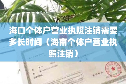 海口个体户营业执照注销需要多长时间（海南个体户营业执照注销）