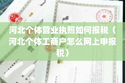 河北个体营业执照如何报税（河北个体工商户怎么网上申报税）