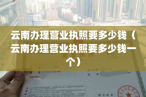 云南办理营业执照要多少钱（云南办理营业执照要多少钱一个）