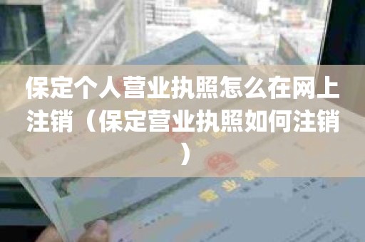 保定个人营业执照怎么在网上注销（保定营业执照如何注销）