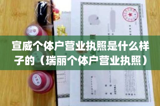 宣威个体户营业执照是什么样子的（瑞丽个体户营业执照）