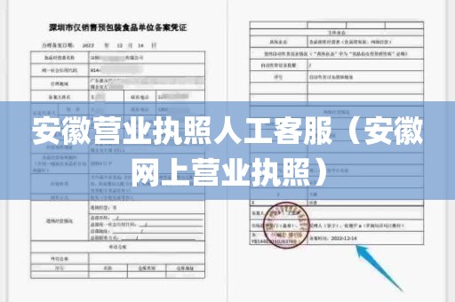 安徽营业执照人工客服（安徽网上营业执照）
