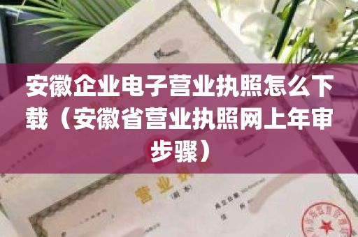 安徽企业电子营业执照怎么下载（安徽省营业执照网上年审步骤）