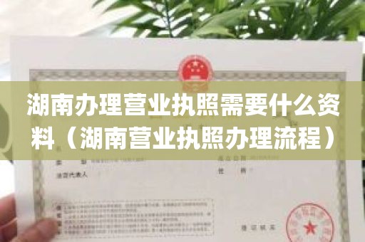 湖南办理营业执照需要什么资料（湖南营业执照办理流程）