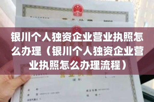 银川个人独资企业营业执照怎么办理（银川个人独资企业营业执照怎么办理流程）