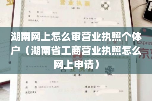 湖南网上怎么审营业执照个体户（湖南省工商营业执照怎么网上申请）