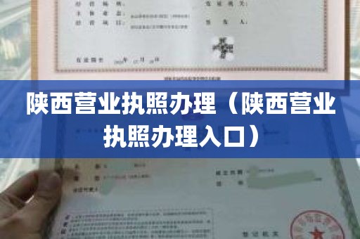 陕西营业执照办理（陕西营业执照办理入口）