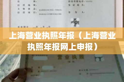 上海营业执照年报（上海营业执照年报网上申报）