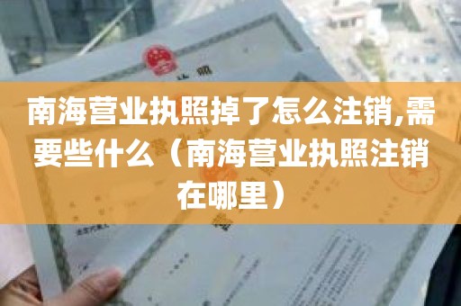 南海营业执照掉了怎么注销,需要些什么（南海营业执照注销在哪里）