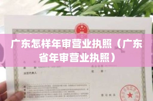 广东怎样年审营业执照（广东省年审营业执照）