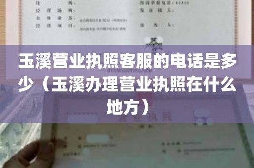 玉溪营业执照客服的电话是多少（玉溪办理营业执照在什么地方）