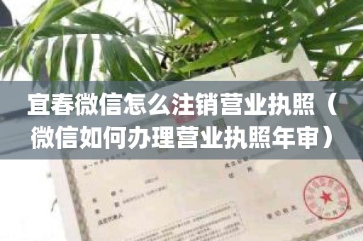 宜春微信怎么注销营业执照（微信如何办理营业执照年审）