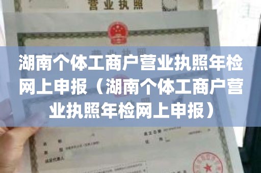 湖南个体工商户营业执照年检网上申报（湖南个体工商户营业执照年检网上申报）