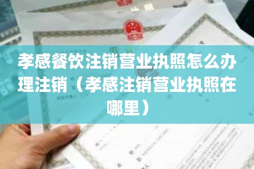 孝感餐饮注销营业执照怎么办理注销（孝感注销营业执照在哪里）