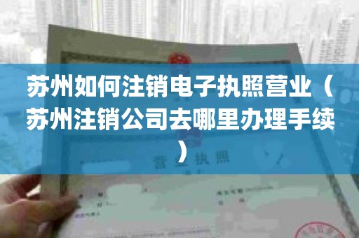 苏州如何注销电子执照营业（苏州注销公司去哪里办理手续）