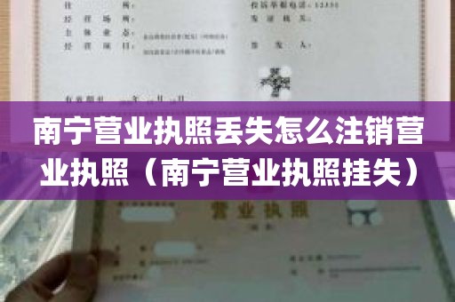 南宁营业执照丢失怎么注销营业执照（南宁营业执照挂失）