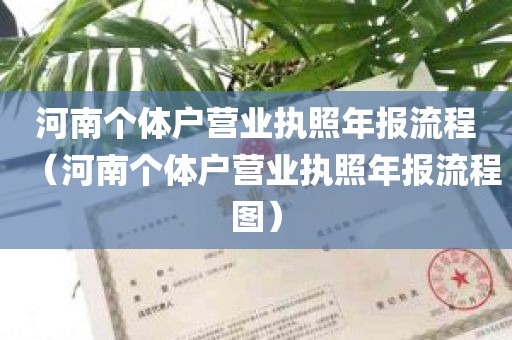 河南个体户营业执照年报流程（河南个体户营业执照年报流程图）