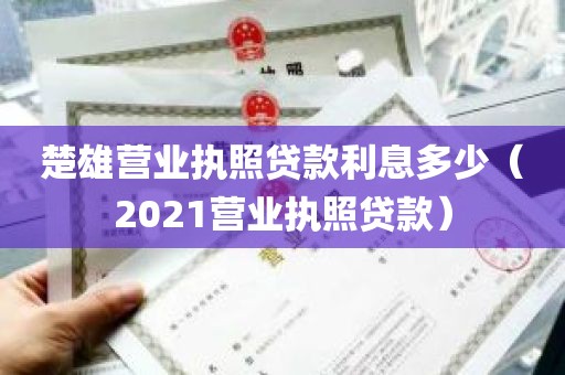 楚雄营业执照贷款利息多少（2021营业执照贷款）