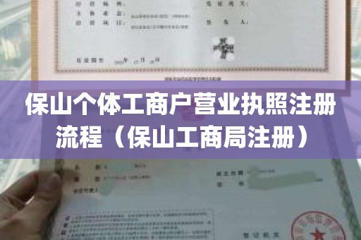 保山个体工商户营业执照注册流程（保山工商局注册）