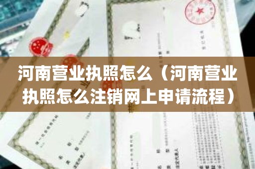 河南营业执照怎么（河南营业执照怎么注销网上申请流程）