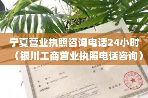 宁夏营业执照咨询电话24小时（银川工商营业执照电话咨询）