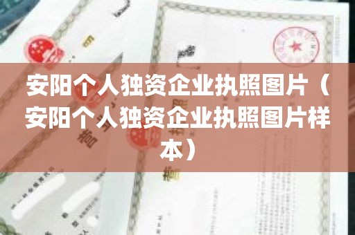 安阳个人独资企业执照图片（安阳个人独资企业执照图片样本）