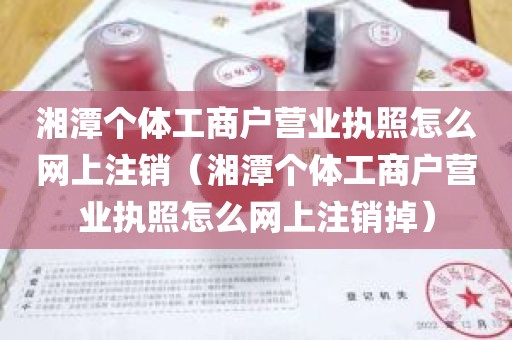 湘潭个体工商户营业执照怎么网上注销（湘潭个体工商户营业执照怎么网上注销掉）