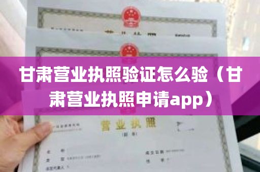 甘肃营业执照验证怎么验（甘肃营业执照申请app）