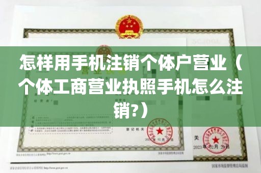 怎样用手机注销个体户营业（个体工商营业执照手机怎么注销?）