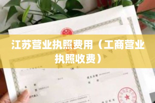 江苏营业执照费用（工商营业执照收费）