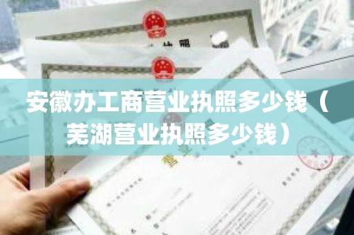 安徽办工商营业执照多少钱（芜湖营业执照多少钱）