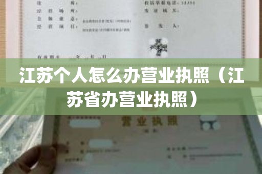 江苏个人怎么办营业执照（江苏省办营业执照）