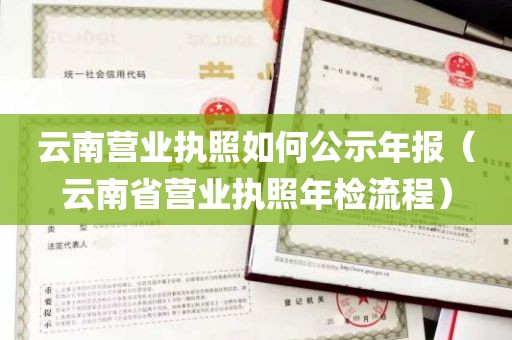 云南营业执照如何公示年报（云南省营业执照年检流程）