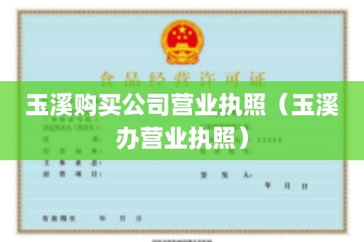 玉溪购买公司营业执照（玉溪办营业执照）