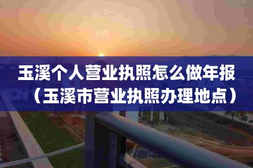 玉溪个人营业执照怎么做年报（玉溪市营业执照办理地点）