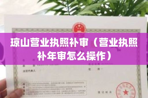 琼山营业执照补审（营业执照补年审怎么操作）