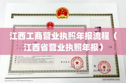 江西工商营业执照年报流程（江西省营业执照年报）