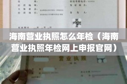 海南营业执照怎么年检（海南营业执照年检网上申报官网）