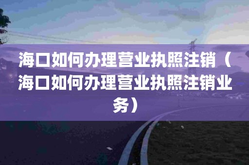 海口如何办理营业执照注销（海口如何办理营业执照注销业务）