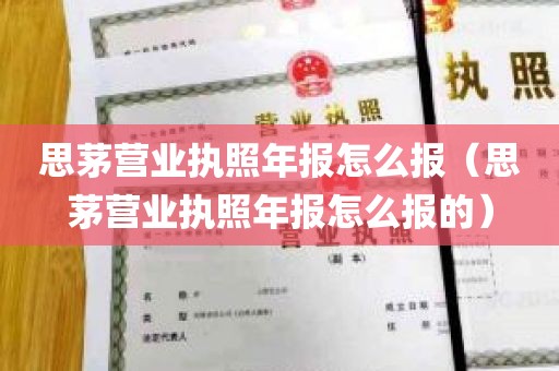 思茅营业执照年报怎么报（思茅营业执照年报怎么报的）