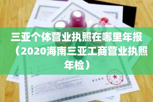 三亚个体营业执照在哪里年报（2020海南三亚工商营业执照年检）