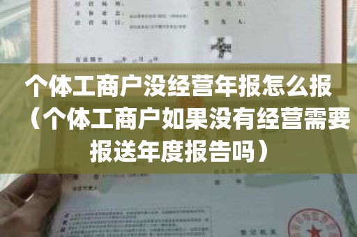 个体工商户没经营年报怎么报（个体工商户如果没有经营需要报送年度报告吗）