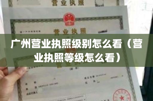 广州营业执照级别怎么看（营业执照等级怎么看）