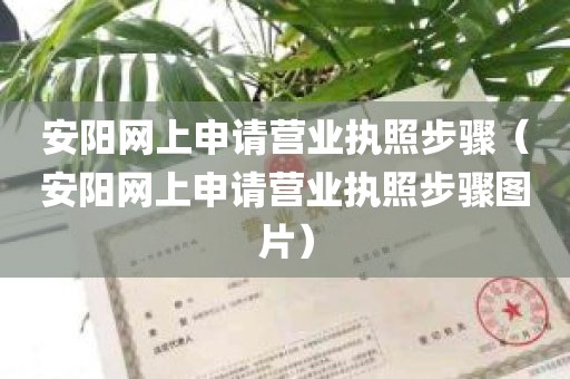 安阳网上申请营业执照步骤（安阳网上申请营业执照步骤图片）