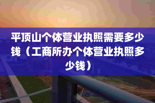 平顶山个体营业执照需要多少钱（工商所办个体营业执照多少钱）